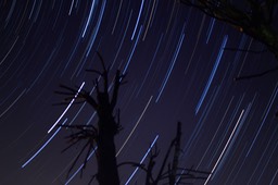 star trails copia 2