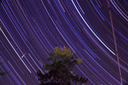 star trails copia