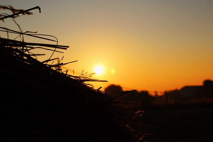 bread at dawn
