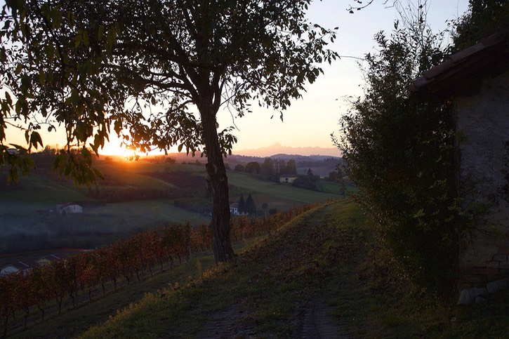 the last sun
